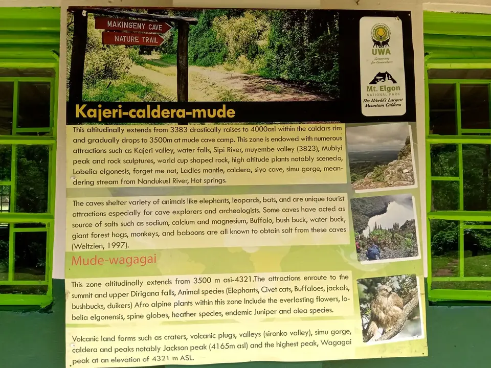 ForestExplorationCenter_03.jpg