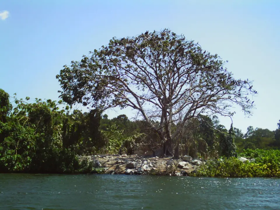 NileSource_10.JPG