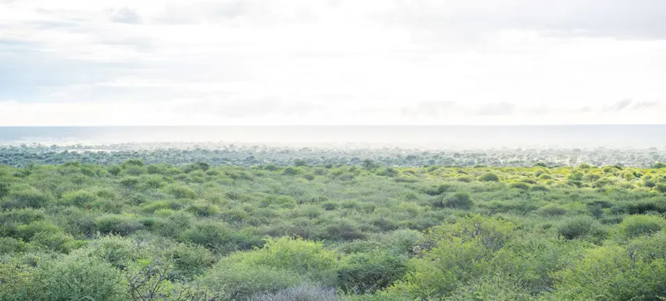 Namibia_0.jpg