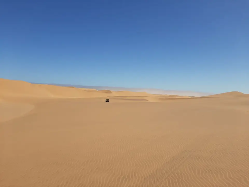 20220418_122537.jpg