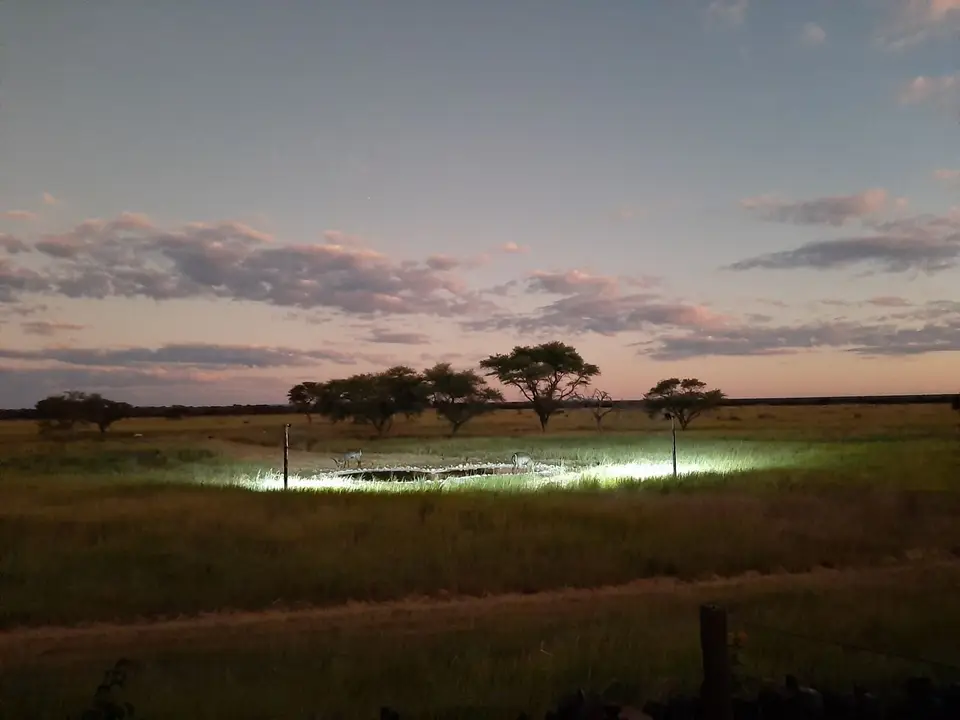 20220426_185848.jpg