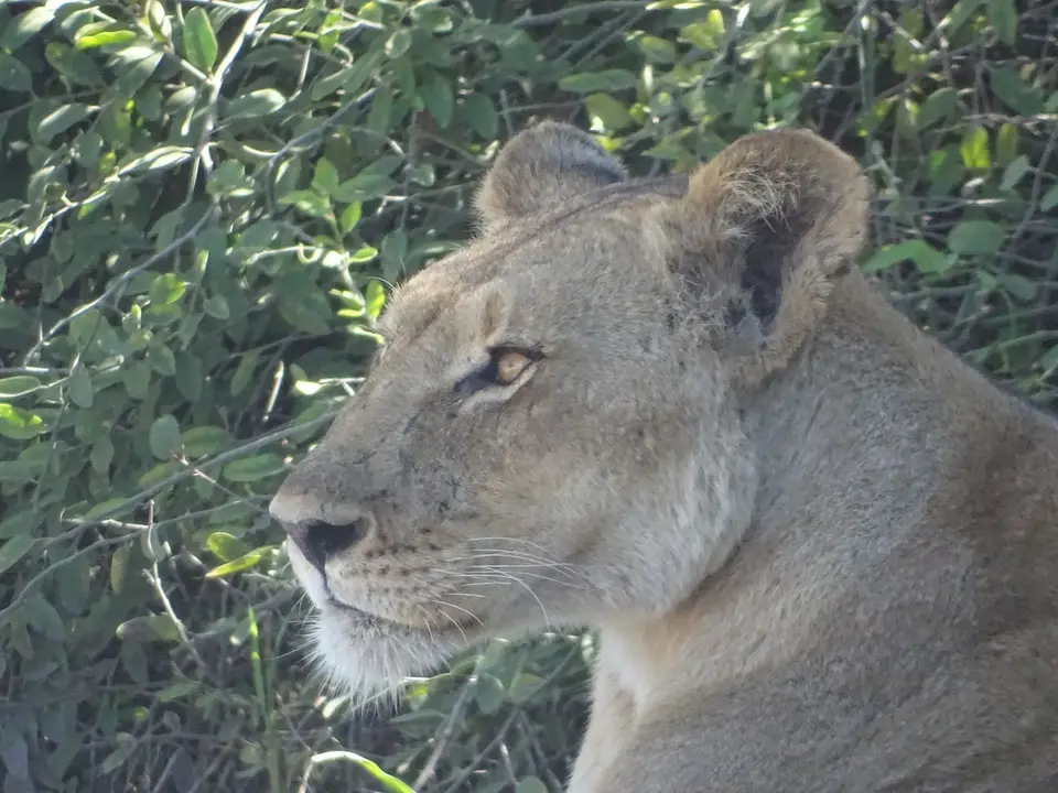 DSC04845.JPG