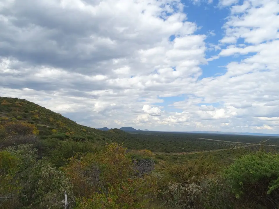 DSC08996.JPG