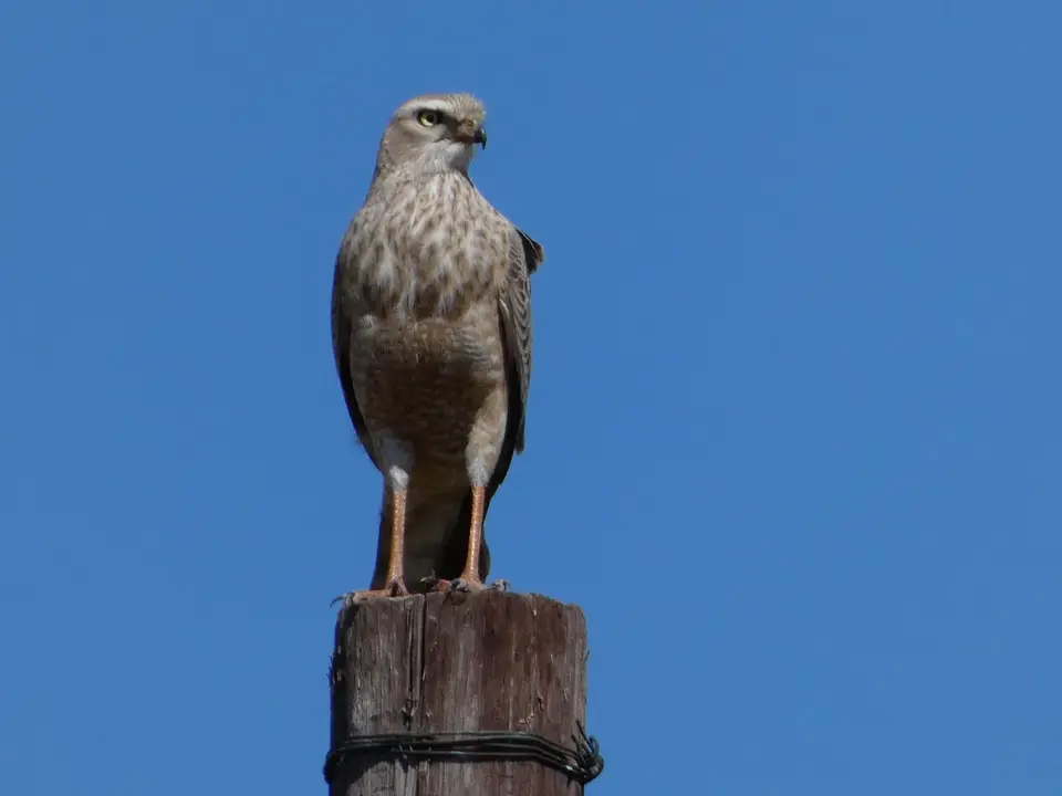 P1000290.JPG