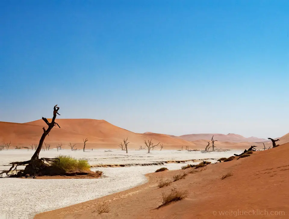 P6110385-Deadvlei-Namib.jpg