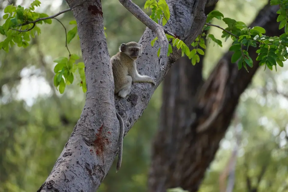 (158)-2.JPG