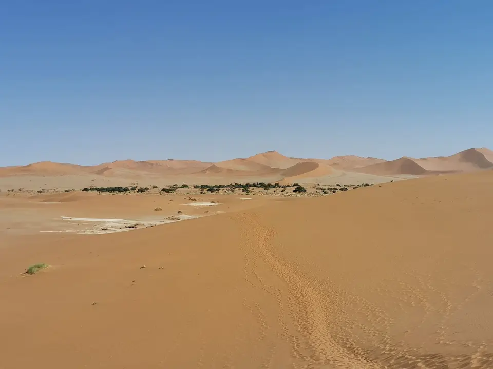 (253).jpg