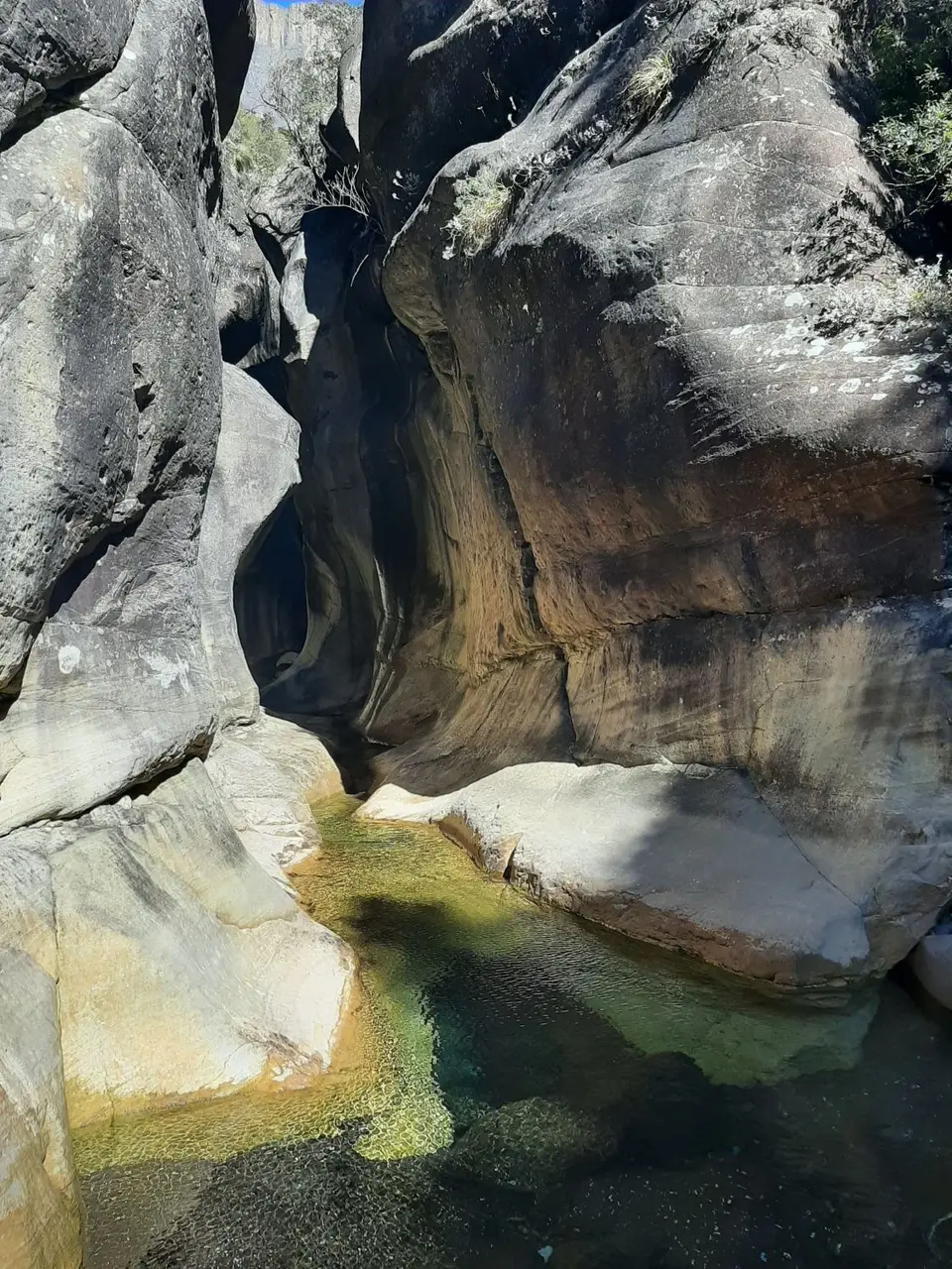 20230708_122729.jpg