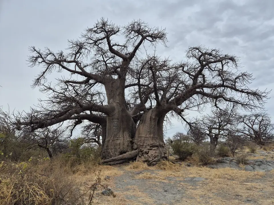 20250613_093808.jpg