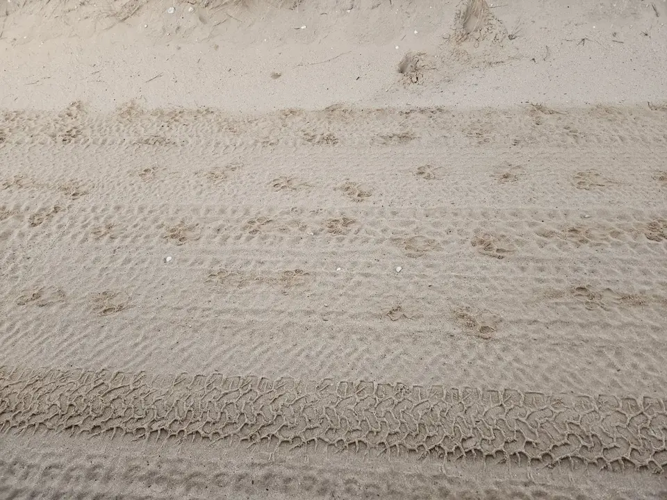 20260526_071207.jpg