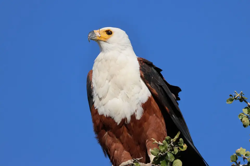 4O2A4230.JPG