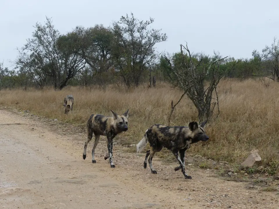 P1020150.JPG