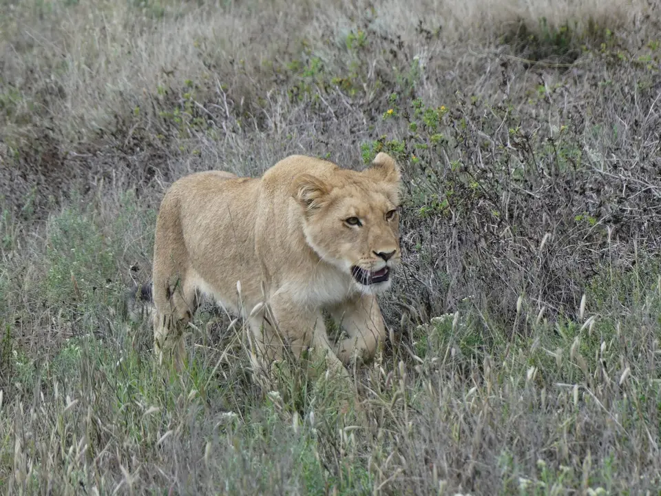 P1150463.JPG