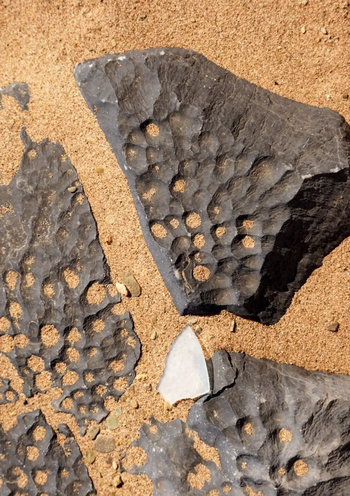 K_10.jpg