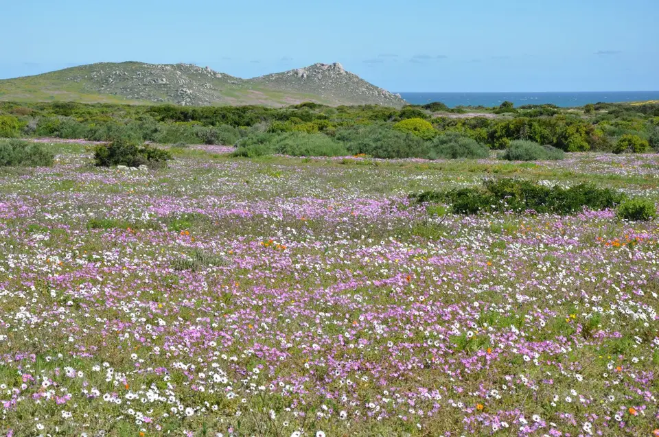 DSC_0028.JPG