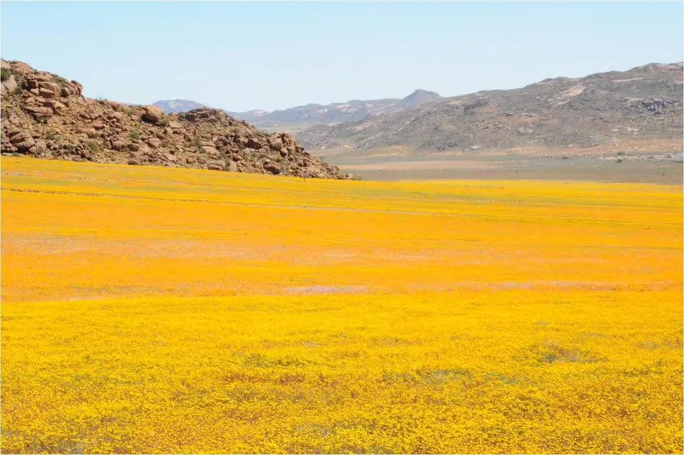 Goegap1.jpg