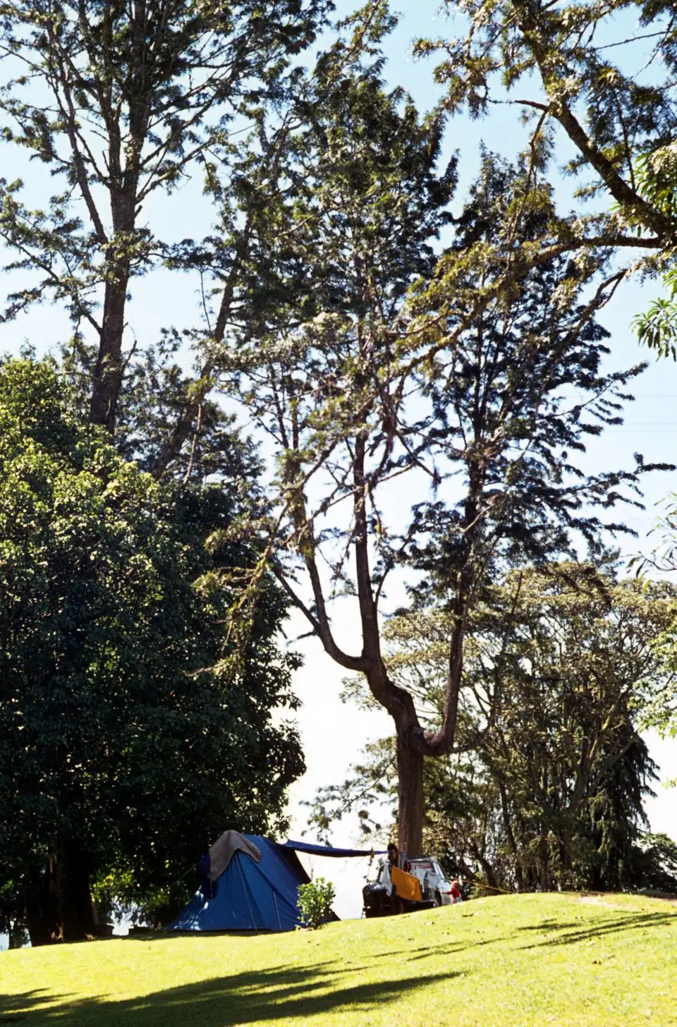 Vumbabot.garden1.jpg