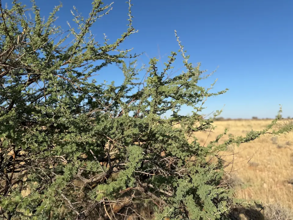 IMG_5554.jpeg