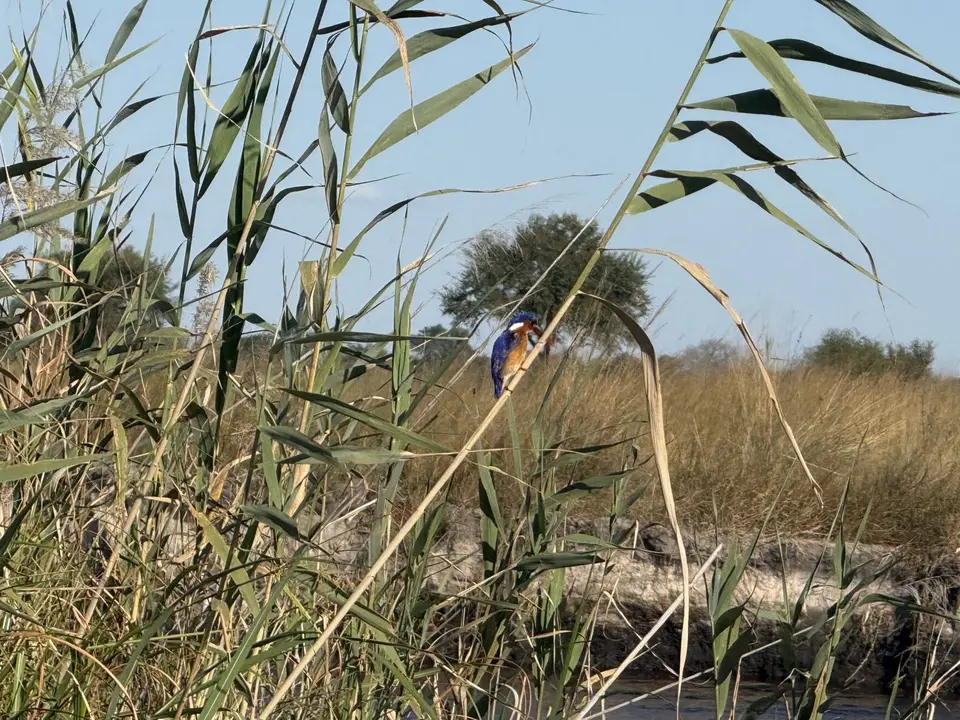 IMG_0857.jpeg