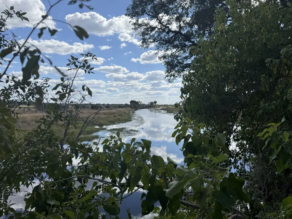 IMG_1018.jpeg