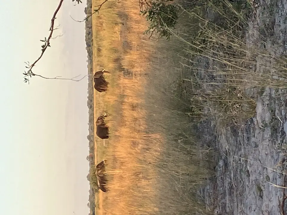 IMG_6582.jpeg