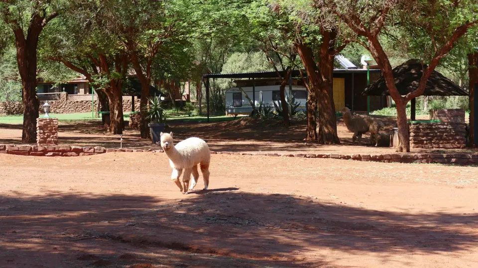 P1150978.JPG