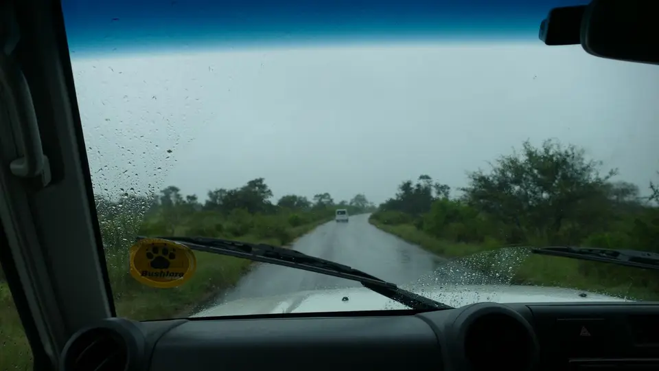 P1180231.JPG