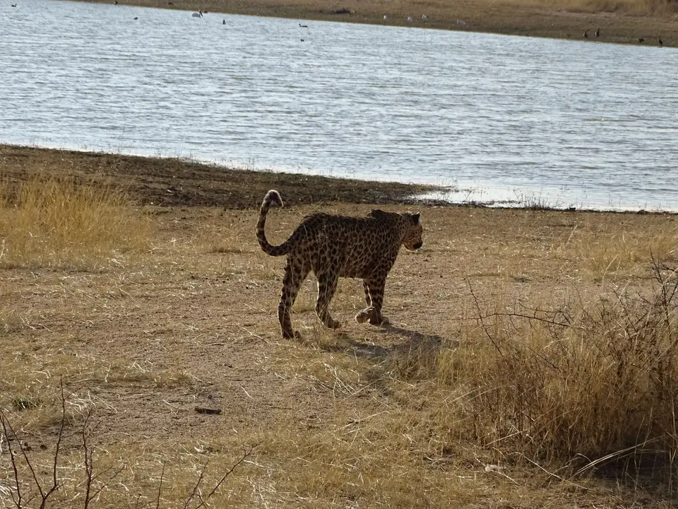 DSC05696.JPG