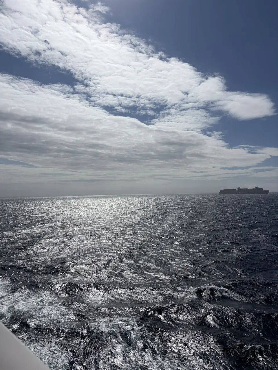 IMG_0803-2.jpeg