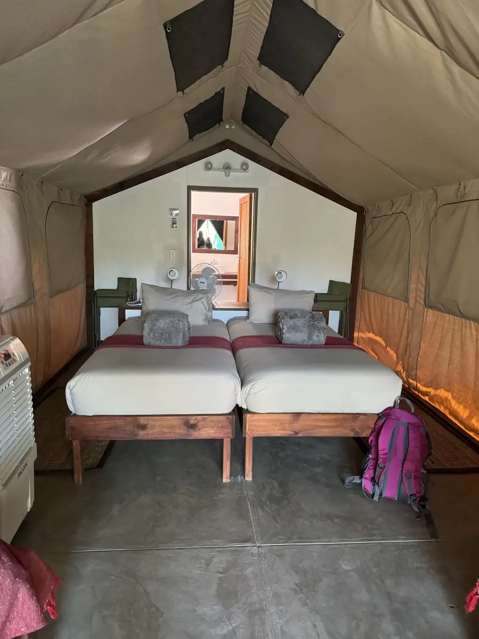 IMG_6793(1).jpeg