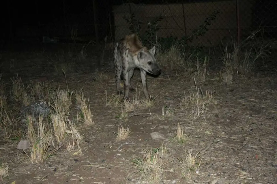 Letaba_1.jpg