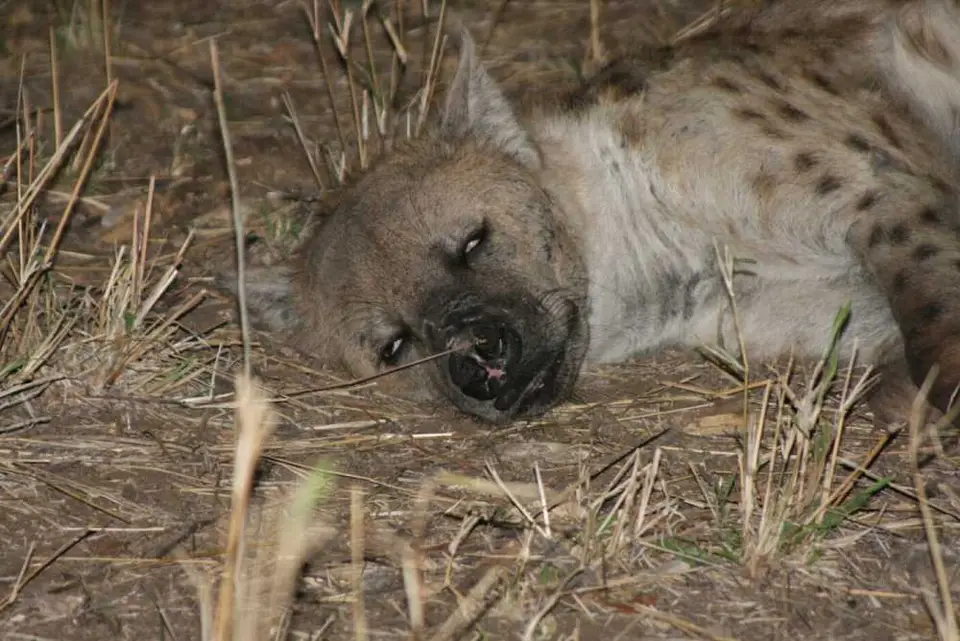 Letaba_2.jpg