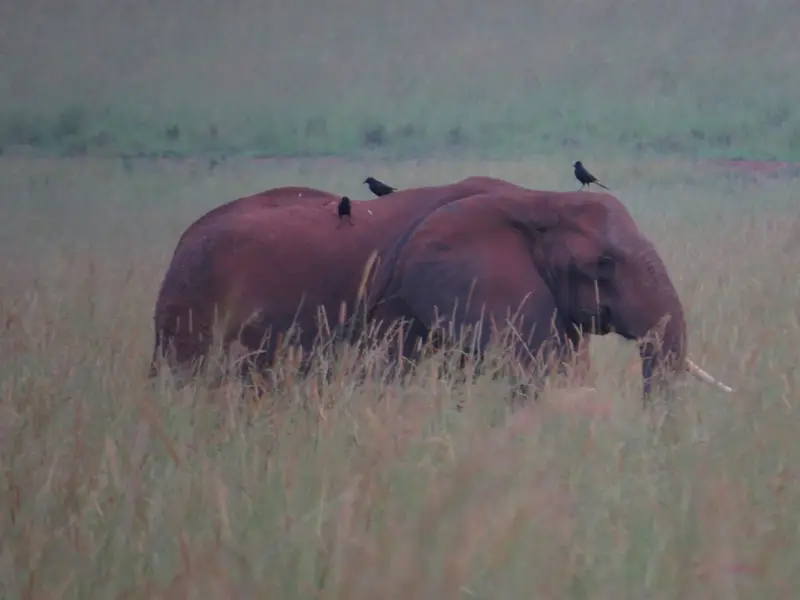 hd53b6fc.jpg