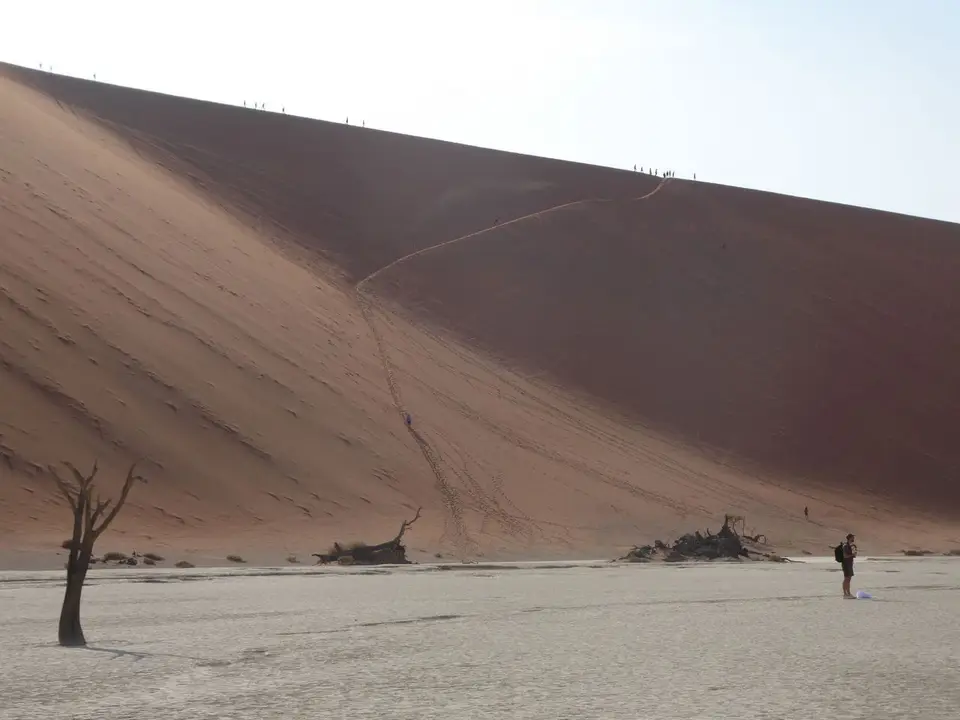 02c_08.JPG