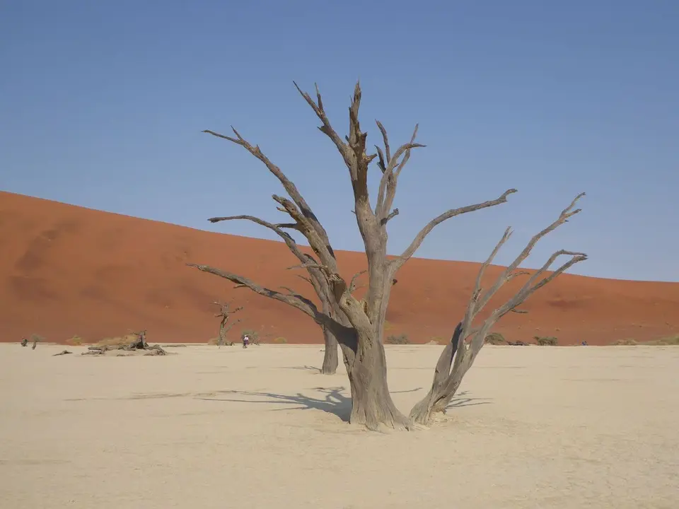 02c_10.JPG