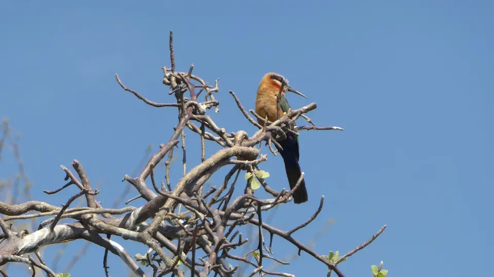 09B_17.JPG