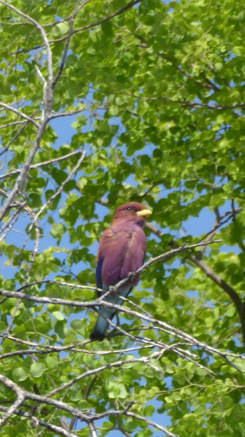 09_Y.JPG