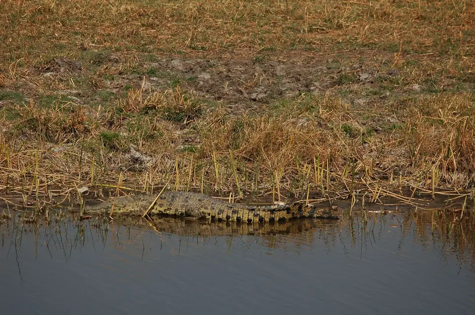 DSC_0517.JPG