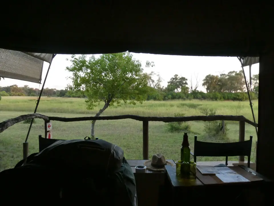 IMG_7733-2.jpeg