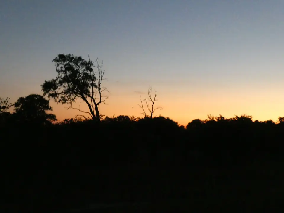 IMG_7741.jpeg