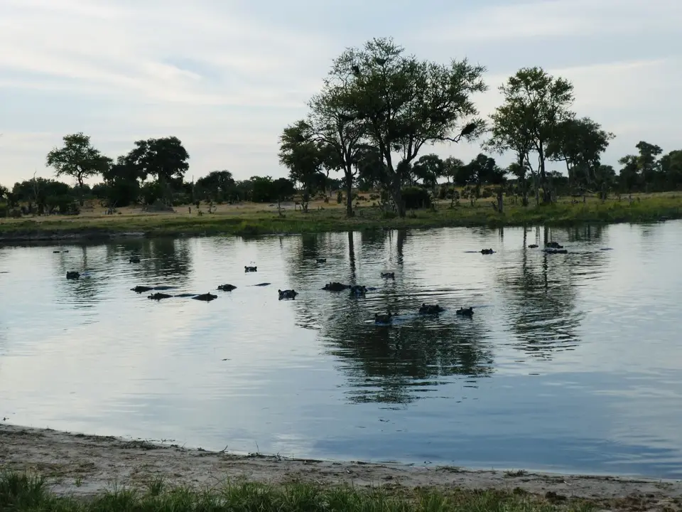 IMG_8632.jpeg