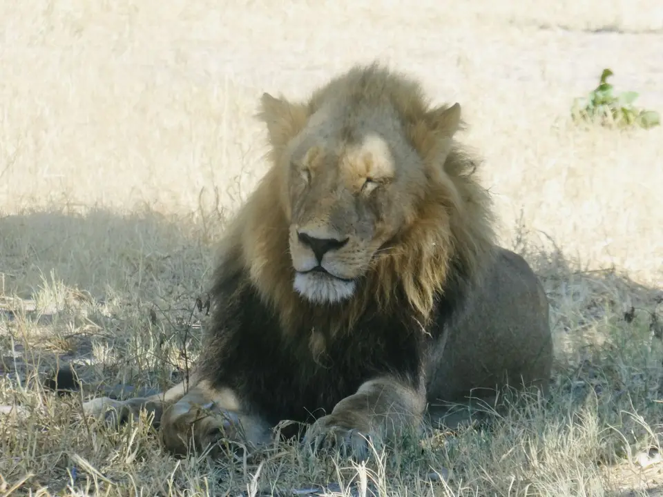 IMG_8760.jpeg