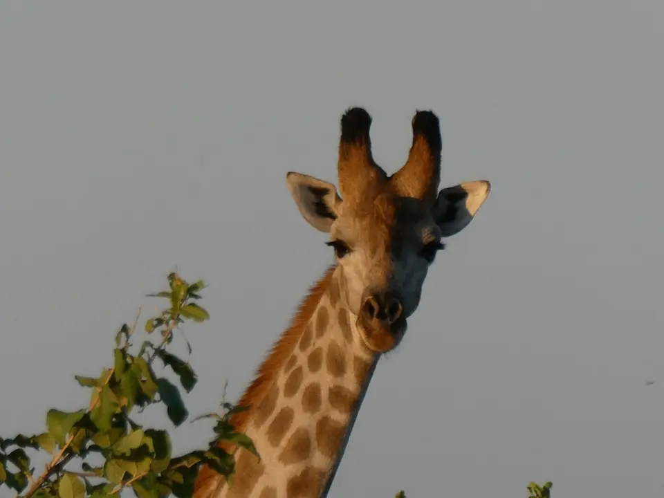 IMG_8834.jpeg