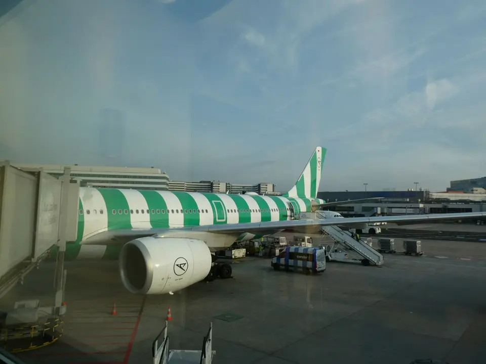 IMG_9036.jpeg