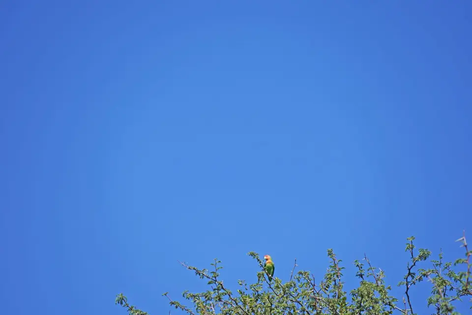 IMG_00142.jpeg
