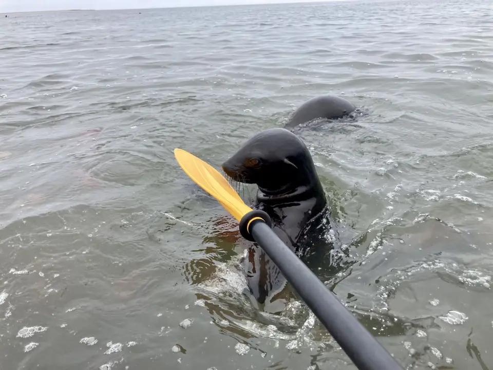 IMG_4066.jpeg