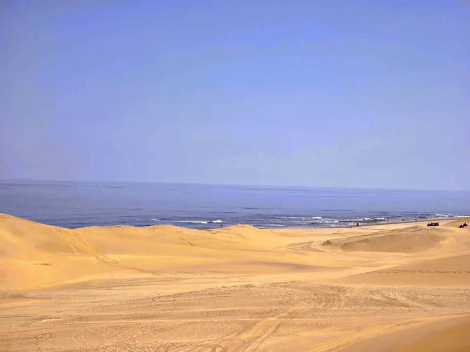 20250517_113514.JPG