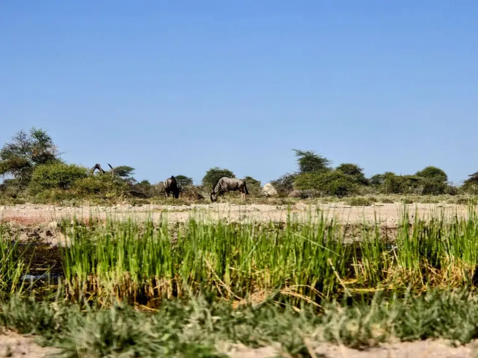 20250528_094746~2.JPG