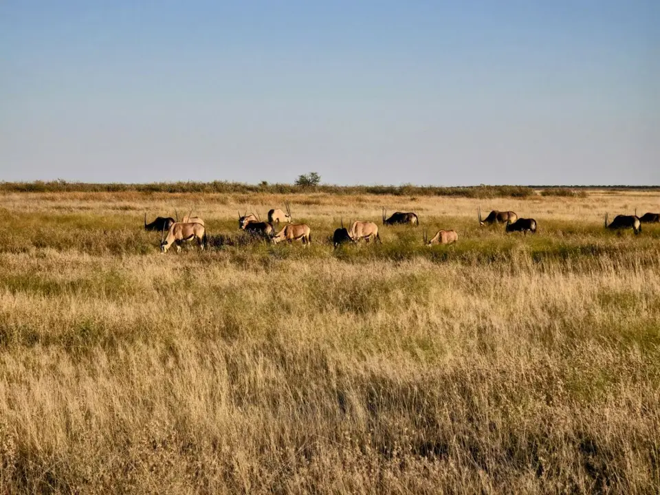 20250529_075638~2.JPG