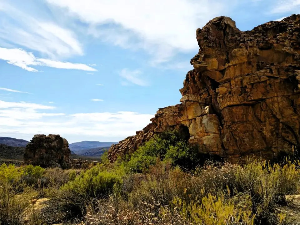 20260204_101212.JPG